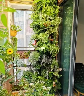 阳台绿植墙