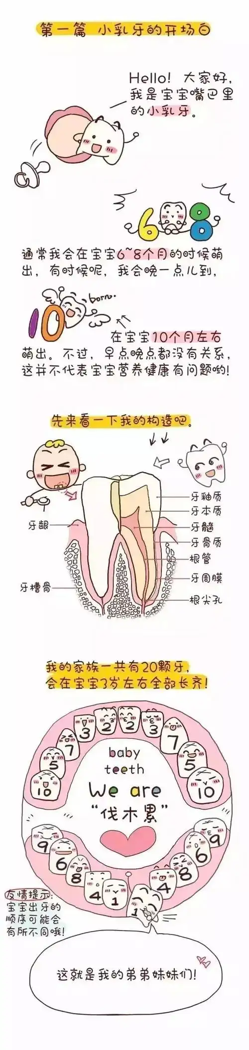 【漫画】乳牙去哪儿,科普换牙那些事儿