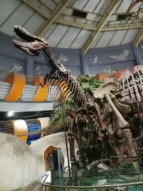 郑州亲子游之一河南省地质博物馆