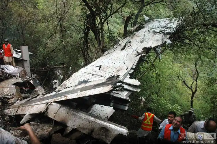 图片回顾空客a320飞机坠毁重大事故