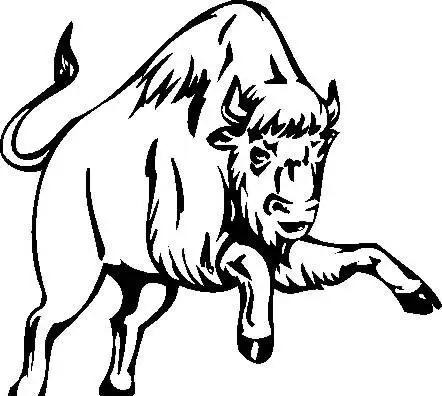 牦牛 野生动物 矢量cdr_04