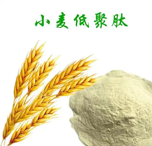 小麦肽 食品级 小麦低聚肽 小麦蛋白肽 小分子活性肽 质量保证