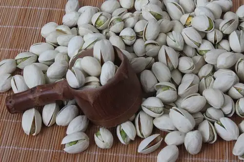 漂白开心果中号自然开196斤箱厂家直销