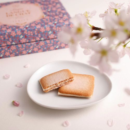 春季 新品 北海道白色恋人 春季樱花味 白巧克力夹心饼干12枚礼盒
