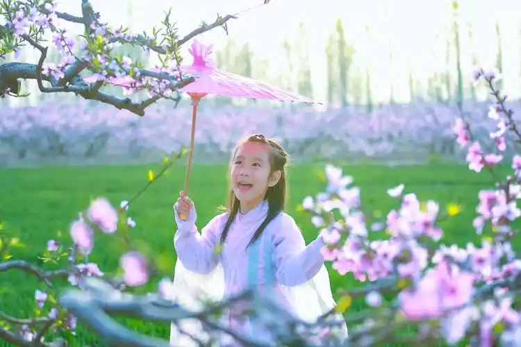 回忆 的美篇原创,快乐的桃花林小仙女