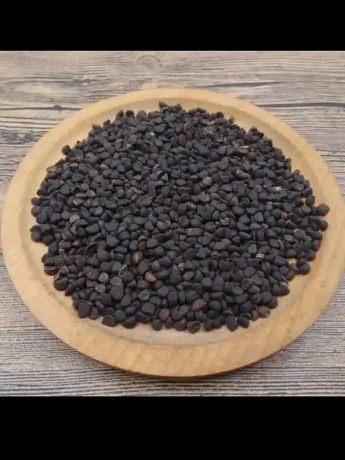 牵牛子药性特点:味苦,性寒,有毒.归肺,肾,大肠经.功效主治特点:1.