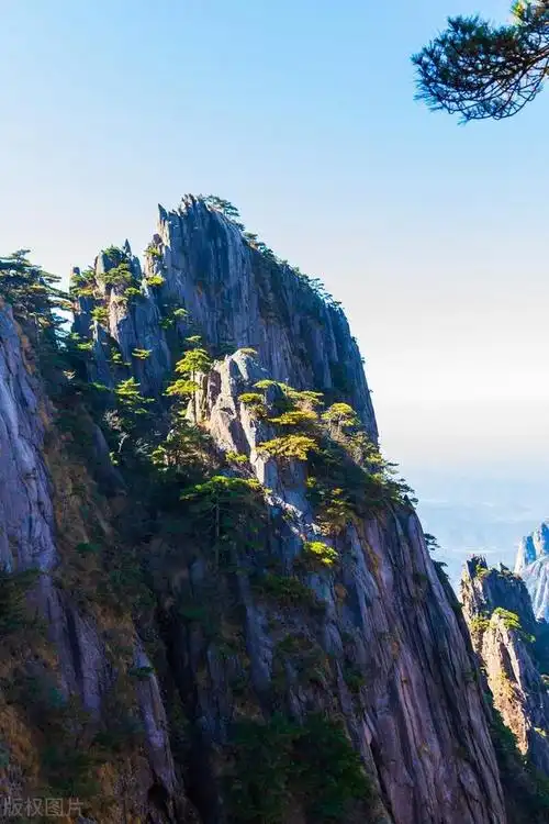 安徽黄山,黄山风景区的山峰奇松怪石景观