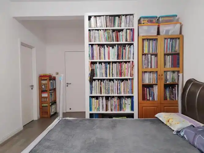 客厅 书房书柜里的书都摞得盖不上门了,沙发后面 沙发旁边 阳台 玩具