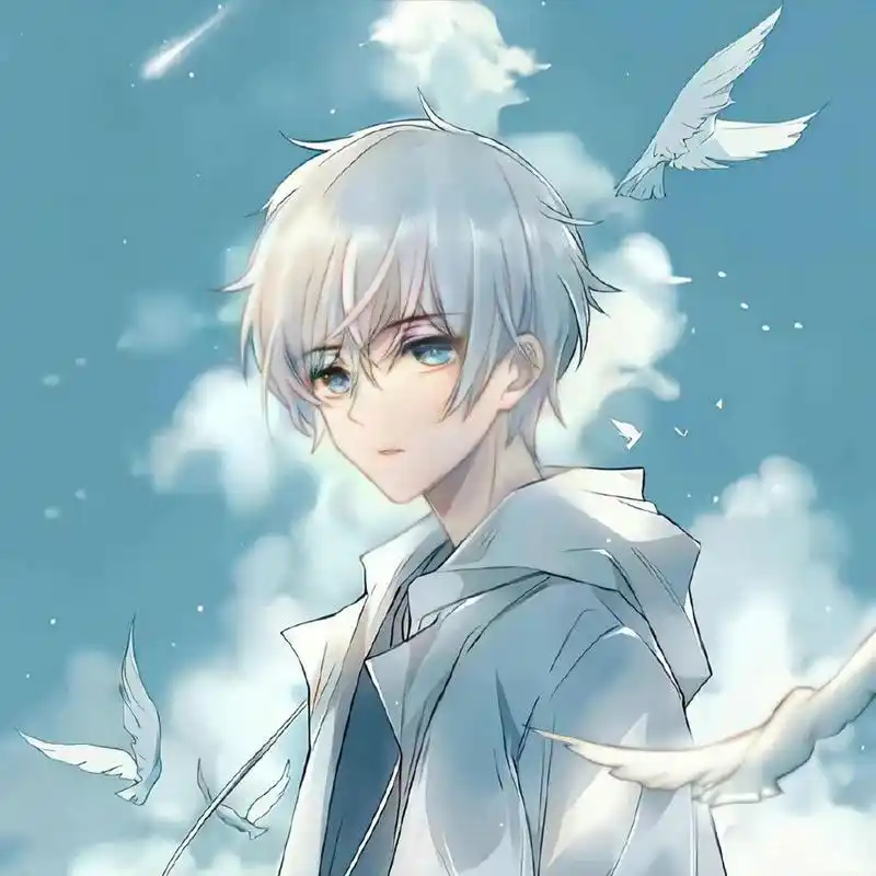 白色系飞鸟与少年动漫男生头像 图片为网络找图,非原创