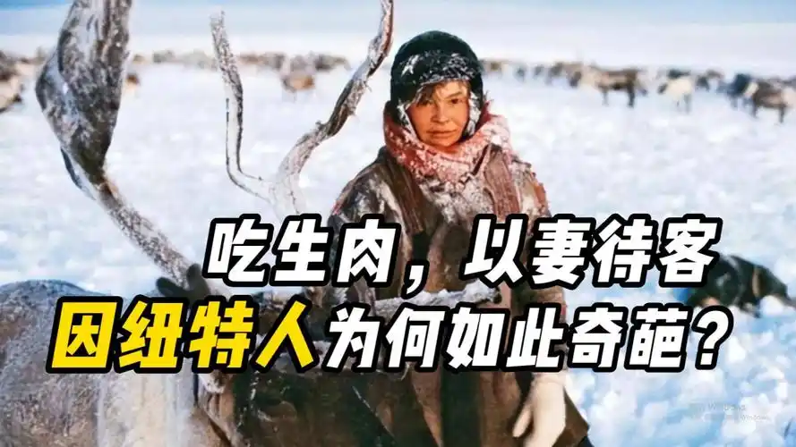 习俗很奇葩的国家,吃生肉,以妻待客,因纽特人怎么了?