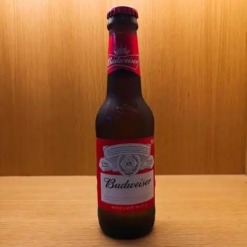 百威啤酒 236ml/瓶 hb - 续古茶业旗舰店