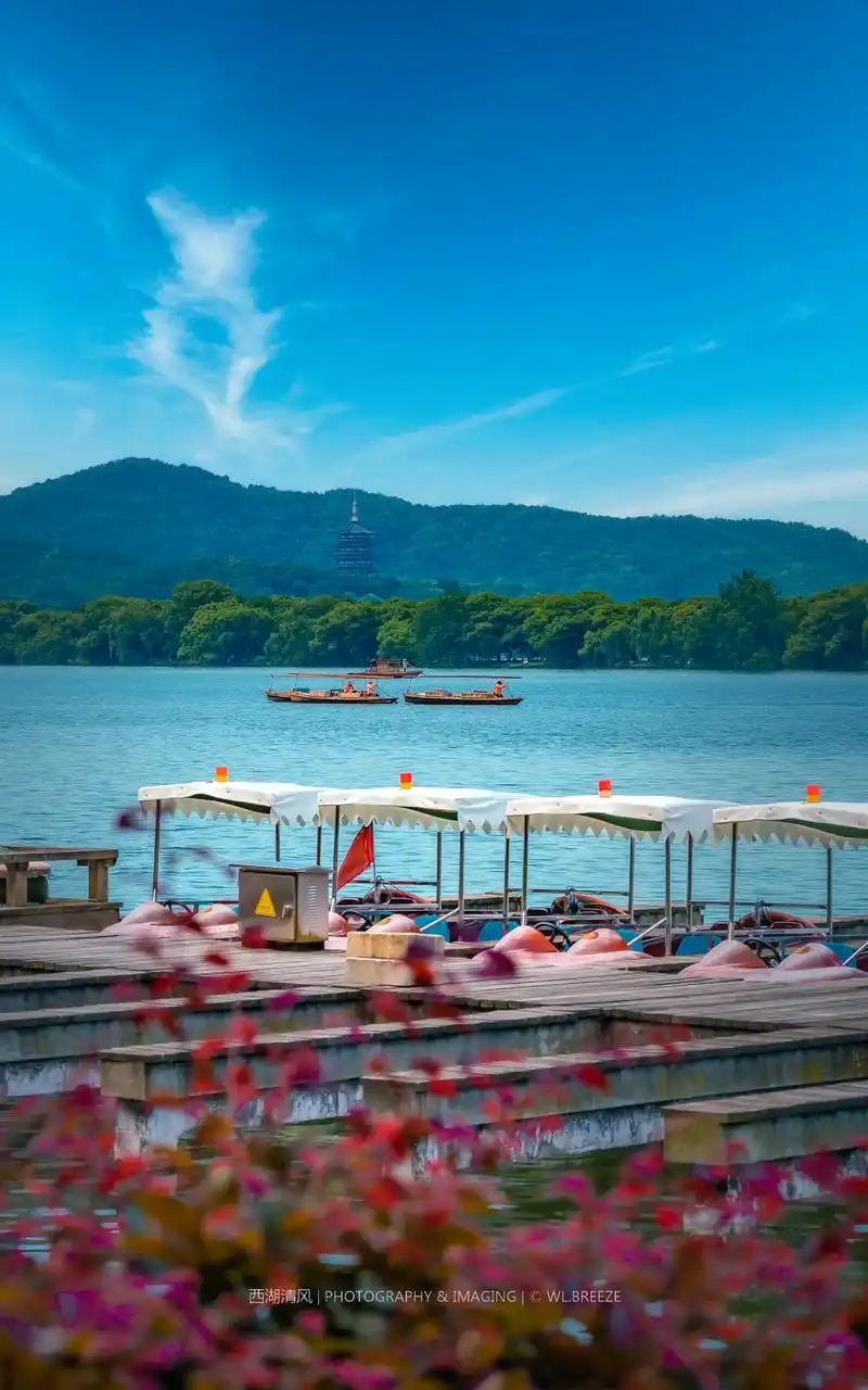 西湖初夏."对于西湖夏日的期待,莫过于满湖红莲间的迎风送爽, - 抖音