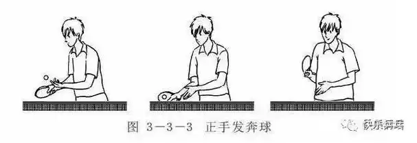 乒乓球11种发球技术要点