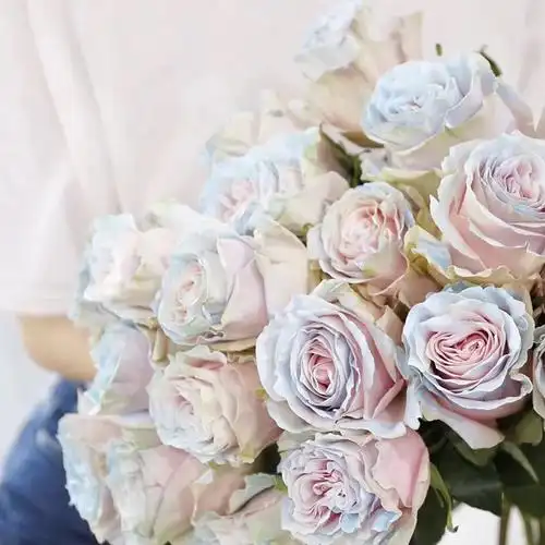 厄瓜多尔进口优质伊莎贝尔玫瑰鲜花鲜切家庭婚庆水养鲜花速递同城