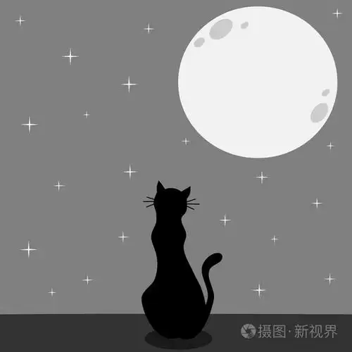 黑猫的剪影在星空下看着满月