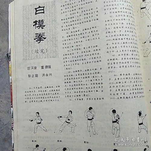 蔡李佛拳蔡李佛与小梅花拳书武林杂志四本小梅花拳小扣打白模拳