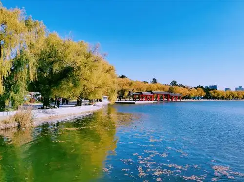 赏秋摄影特辑之八,(长春南湖公园)