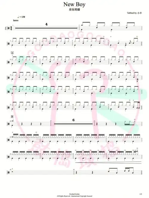 鼓谱分享newboy房东的猫