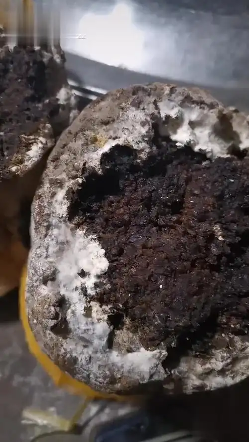 大酱块子个个隔出油-美食视频-搜狐视频