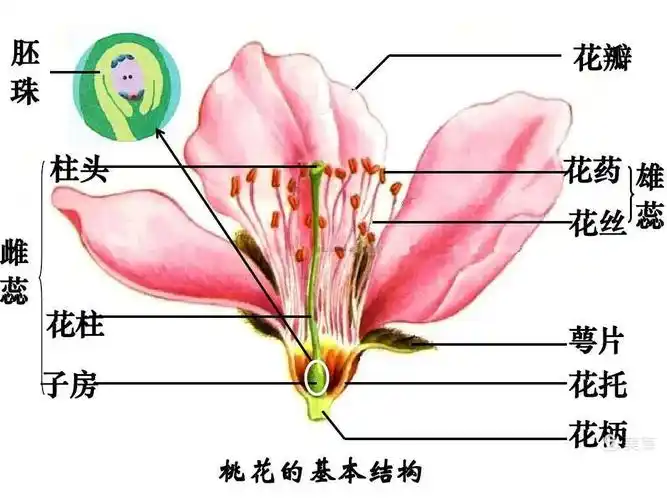 中考专题点评2(识图题)