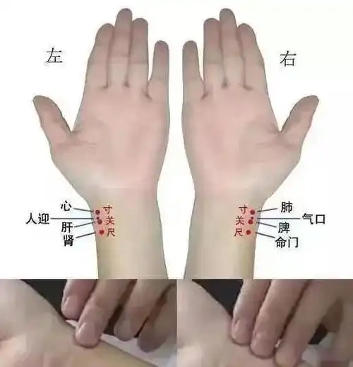 漫说中医| 切:中医四诊法之本