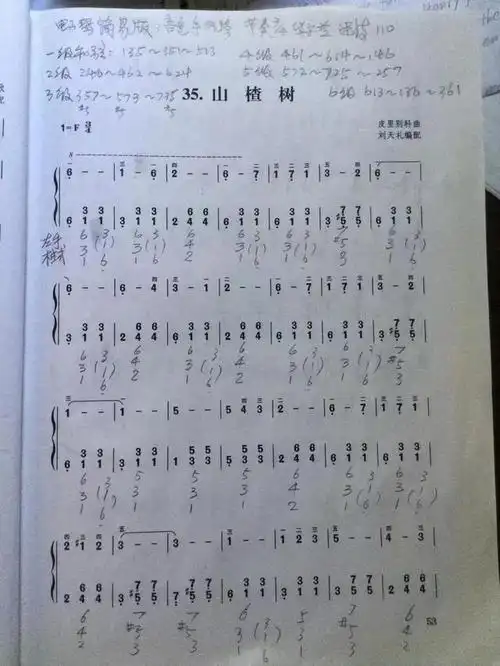 《山楂树》手风琴钢琴电子琴谱_网易订阅