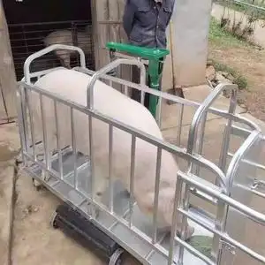 猪笼子猪场用装猪笼母猪称重转运大推车上车卖抓肥猪笼家用神器转