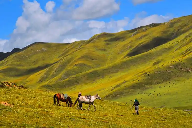 中国十大草原排名(盘点国内最美的10个草原) | 一夕网