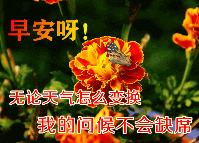 超可爱免打字聊天的可爱动画表情包漂亮的早上好滚动动态表情包图片