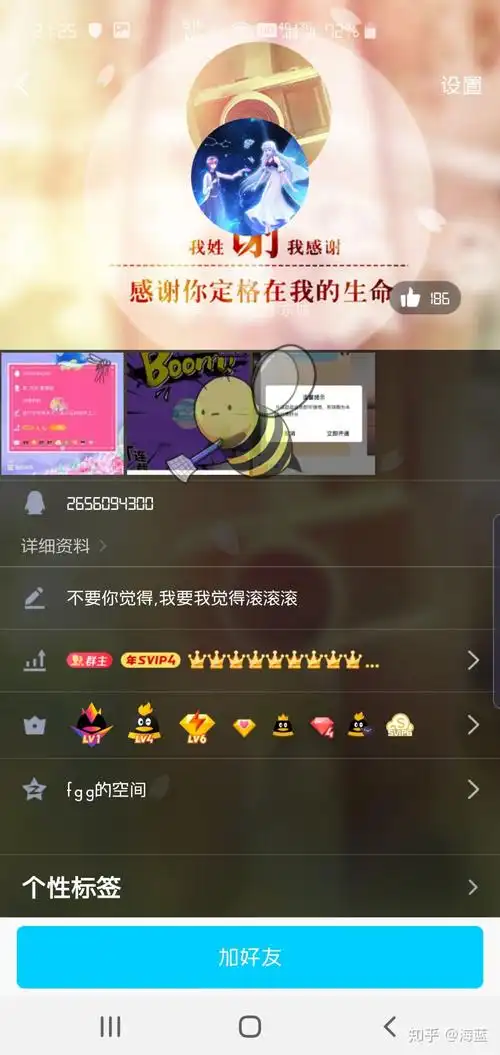 qq等级集齐4个皇冠后是什么样的? - 知乎