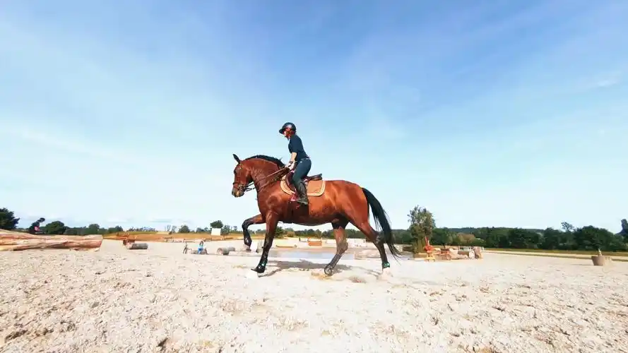 骑马,美女骑马,女人骑马