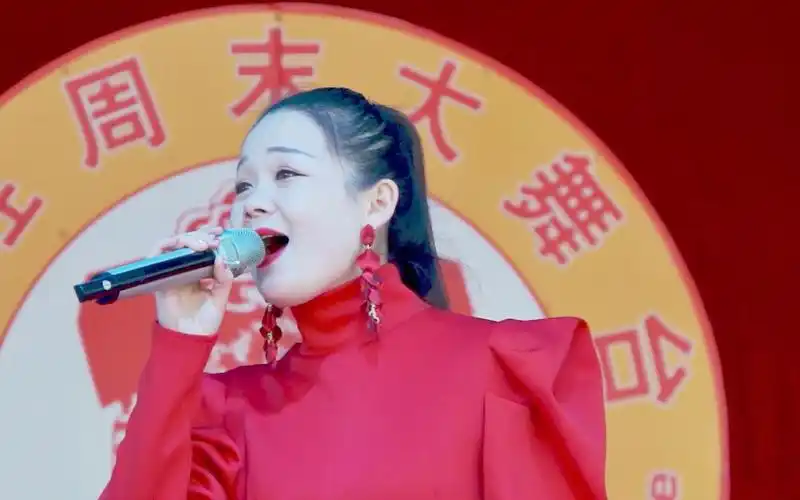 女声独唱《可可托海的牧羊人》,唱出了真情_哔哩哔哩_bilibili