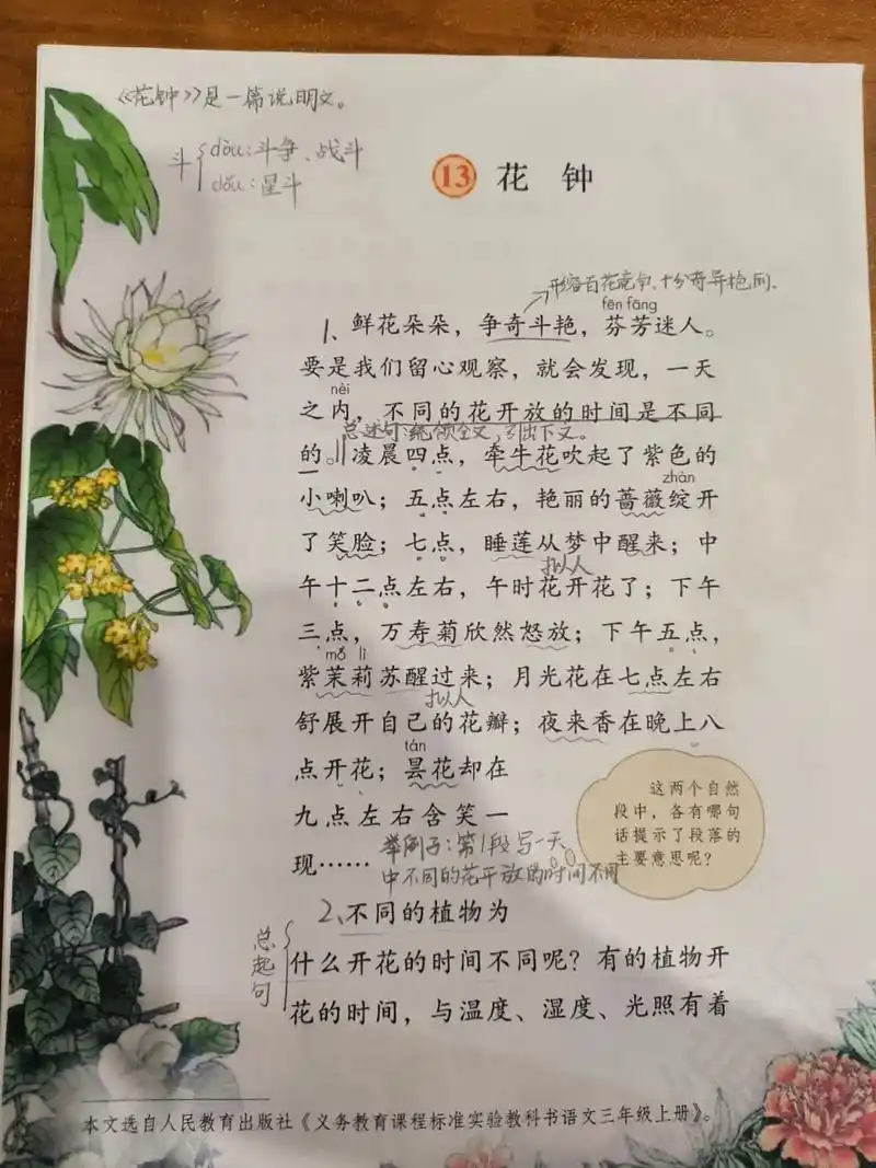 三下课文13《花钟》课文预习.#预习课本 #三年级语文下册 - 抖音