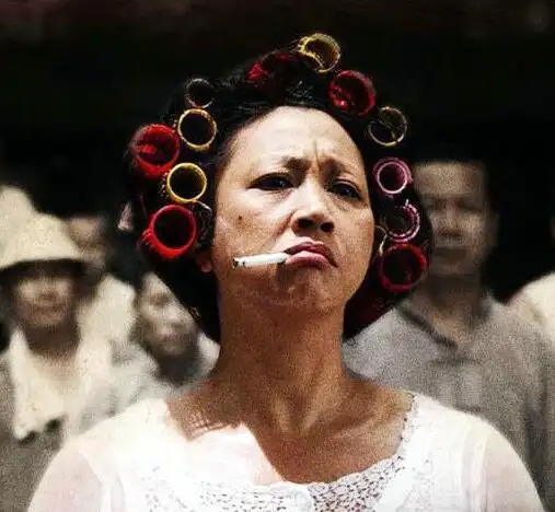 周星驰功夫包租婆扮演者是范湉湉吗