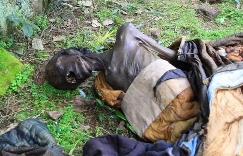 周口清朝干尸惊现于世震撼挖掘现场曝光