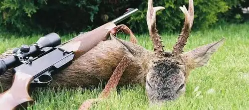 行程在狂野的西伯利亚用猎枪释放你的激情