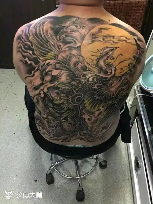 满背凤凰_纹身图案手稿图片_super_万的纹身作品集