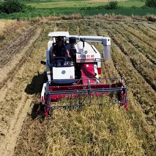 沃得再生稻收割机亮相再生稻机械化收获作业演示会_农业_水稻_问题