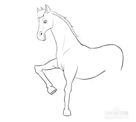 马简笔画可爱白龙马简笔画可爱