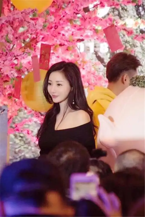 柳岩现身新片发布会,网友:脸咋有变样了,说好靠演技呢_新浪看点