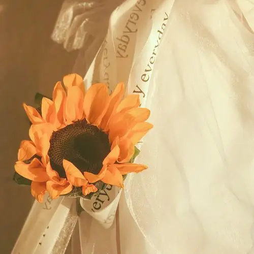 一朵向日葵的午后