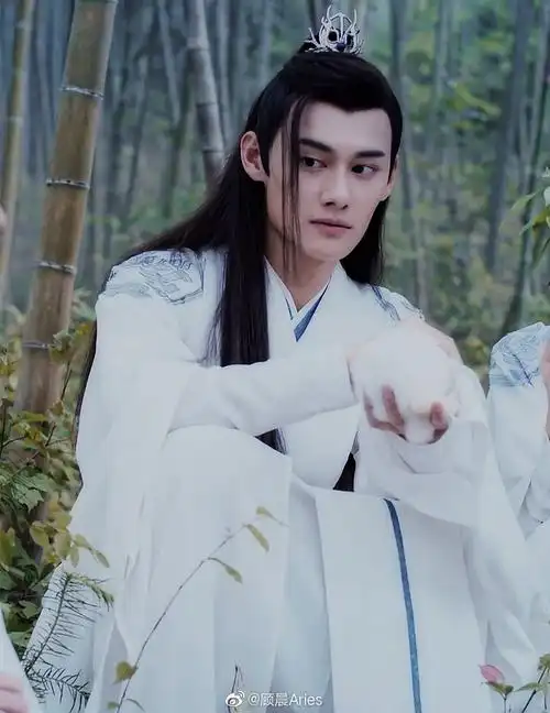 〈陈情令〉江澄.汪卓成