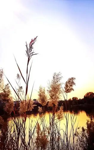 冬日暖阳 美景如画