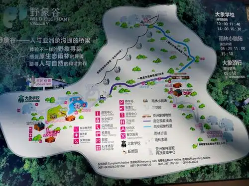 西双版纳野象谷