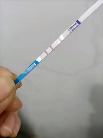 月经推迟5天早孕试纸两条秒现是怀孕了吗