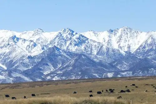 目睹祁连山雪景
