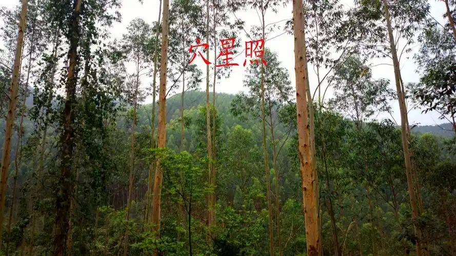 阴宅风水穴位欣赏之五马归槽