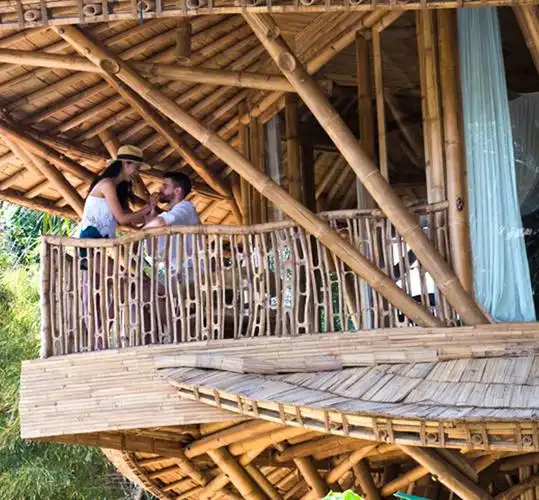 竹楼建筑的"前世今生"