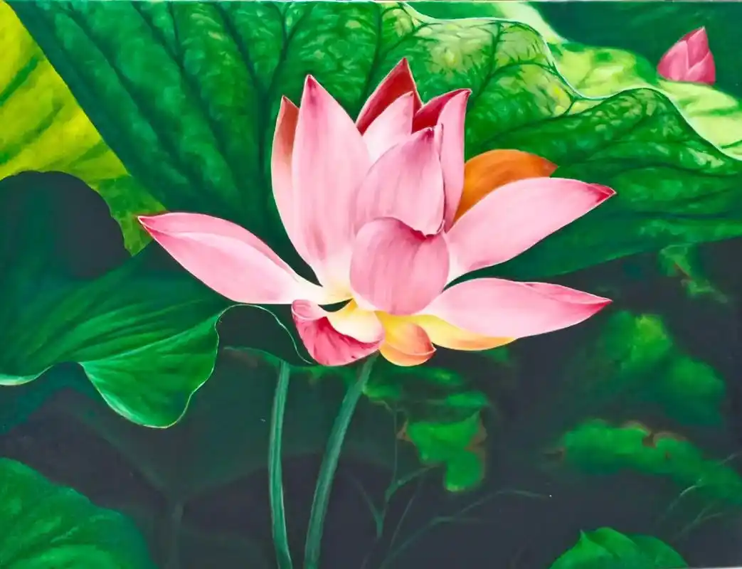 荷花(油画) - 抖音