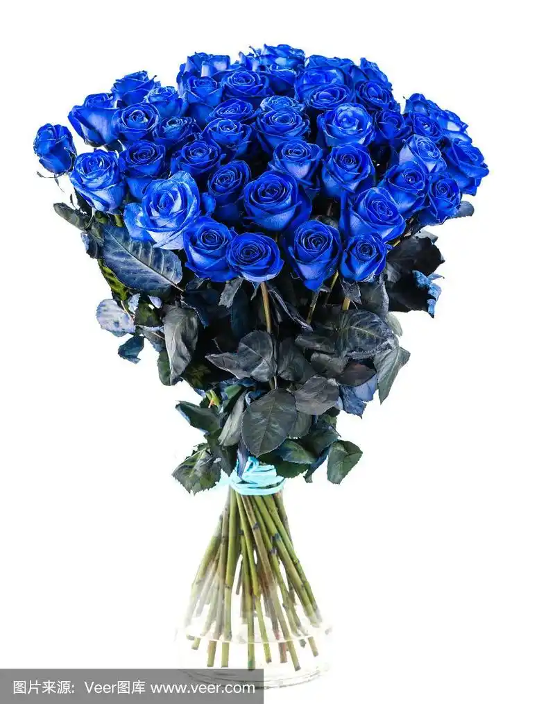 一束蓝色玫瑰